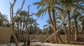 Olive Garden House Siwa - Image 3