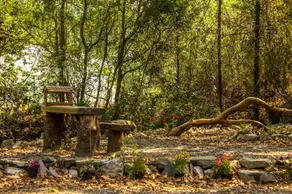 The Camphor Tree - Pura Stays - Image 5
