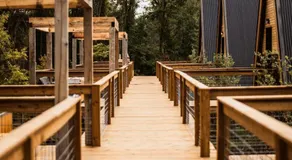 Finger Lakes Treehouse - Image 5