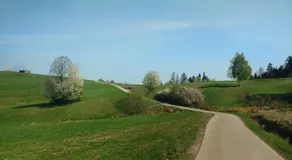 Pokoje Przy Szlaku Agroturystyka - Image 4