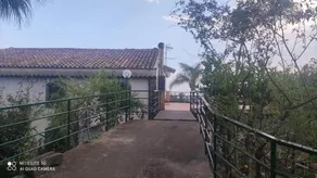 Il noceto dell'Etna - Image 1