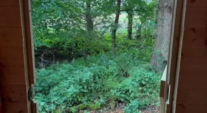 Little Brook Glamping - Image 3