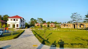 Dee Helios Assam - Image 4