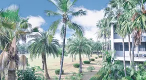 Saenpalm training home แสนปาล์ม เทรนนิ่ง โฮม - Image 4