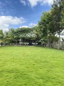 V4 Farmland - Image 3