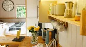 Piano Forte - a delightful rural shepherd hut & hot tub available ! - Image 5