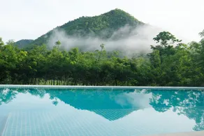 Hi - Scene Resort - Image 3