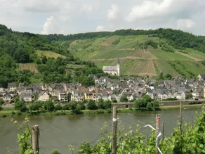 Spacious holiday home in Briedel near River Mosel - Image 1