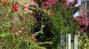 Le Jasmin - Image 4