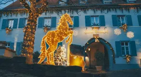Hotel Domhof - Image 5