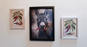 B&B Il Rosmarino - Image 4