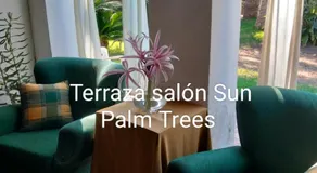 Sun & Palm Trees - Image 5