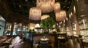 Al Gassar Resort - Image 4