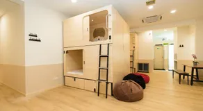 Luma Nest Capsules - Image 2