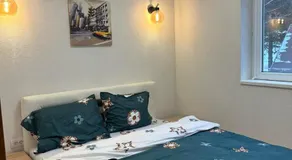 Lily Apartmani Brzece - Image 2