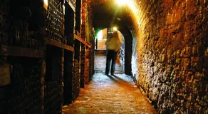 Weingut Martinshof - Image 5