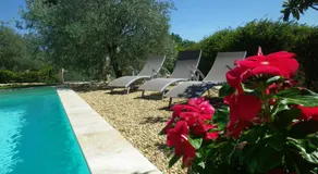La mordorée - Image 3