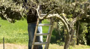 Bed&Breakfast Il Frantoio - Image 5