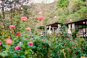 The Forest Camp Khao Yai - Image 4