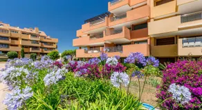 Ribera del Marlin - Image 2