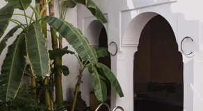 Riad Muarid  - Image 2