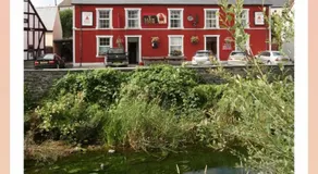 Y Llew Coch Tregaron - Image 3