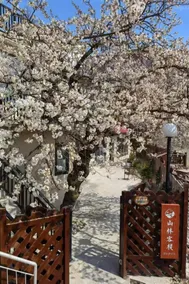 Floral Hotel· Mountain Forest Hotel (Guling Street Cableway Shangzhan Branch) - Image 3