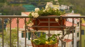 Putechella Slow Living Retrait - Image 5