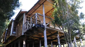 Cabañas Ecoturismo San Miguel - Image 4