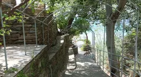 Andros summer house - Image 5