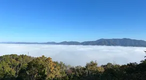 Koiya - Image 4
