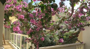 Casamare Hotel - Image 4