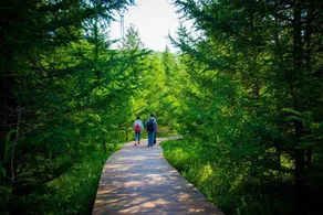 Colorful Forest Vacation Hotel - Image 2