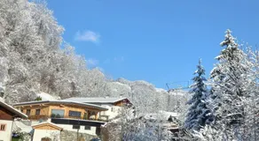 Bio-Chalet Haus Wagner - Image 5