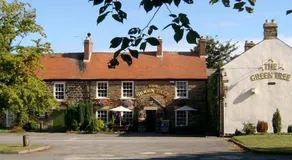 The Tree House - Image 5
