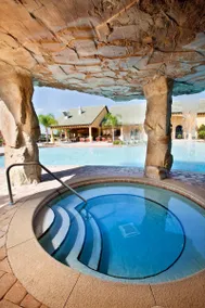 PARADISE PALMS RESORT VACATION HOMES - Image 3