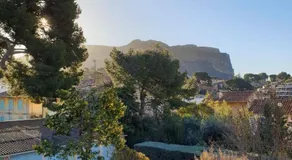 Le mimosa - Image 5