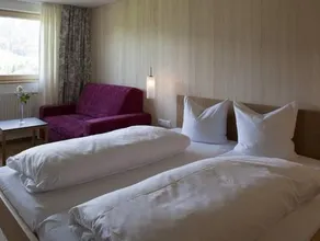 Hotel & Wirtschaft Wälderhof - Image 4