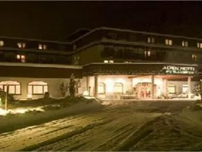 Alpenhotel Weitlanbrunn - Image 3