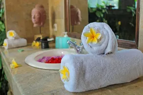 #1 UBUD Private Pool Villa 2 BR with Valley View - Image 5