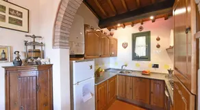 Bacco - Image 5