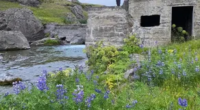Between sea and big mountains - Image 3