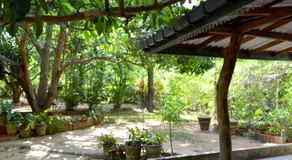 Sigiriya Freedom Lodge - Image 2