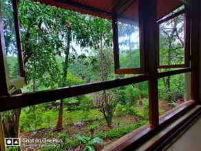 Le Birch Stays Karjat, luxury amidst nature - Image 5