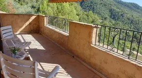 Paradise - Image 3