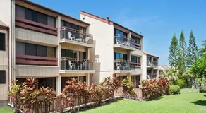The Kona Billfisher - Image 3
