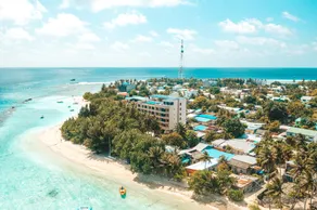 Season Paradise - Image 2