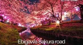 suite Funabashi SAKURA1 #102 - Image 5