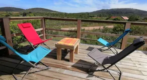 Charrua de Punta colorada - Image 3