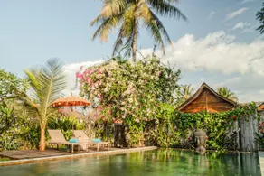 United Colors of Gili - Image 2